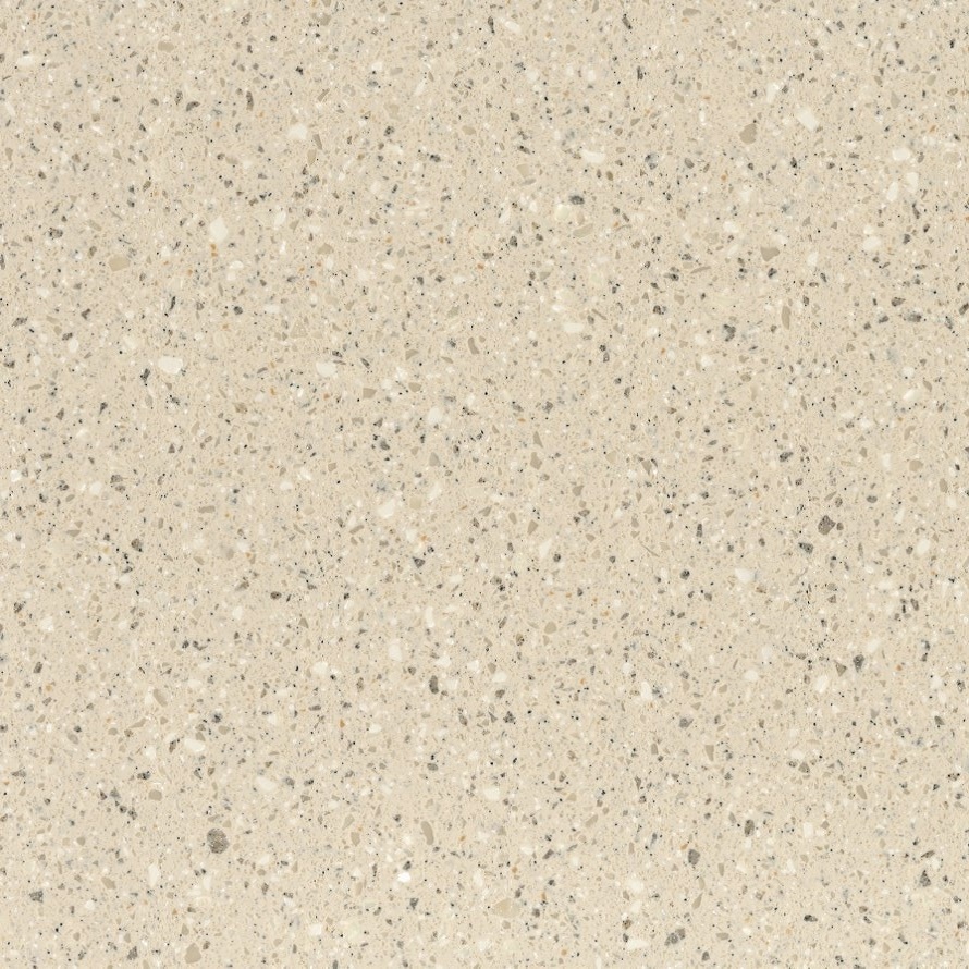 Corian Fossil